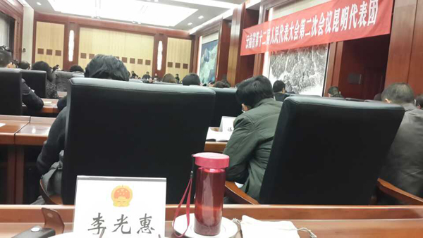名师李光惠列席省第十二届人代会第二次会议昆明代表团全团会仪