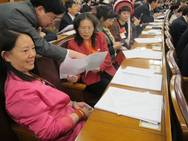 李老师在大会堂听取张德江委员长的人大常务委员会工作报告。