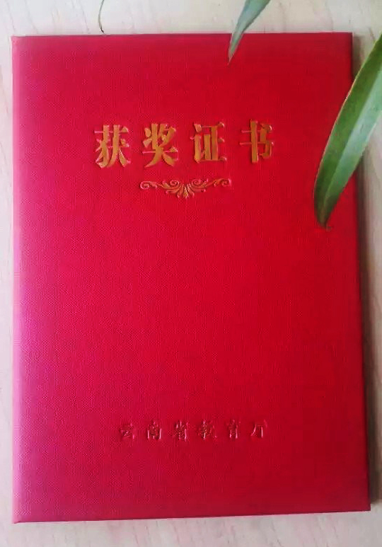 喜讯:李老师获得2O14年云南省教肓厅颁发的