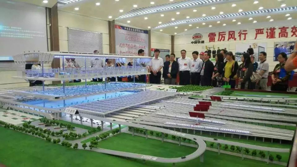 李老师参加在滇全国人大代表对云南铁路网建设进行专题调研的活动