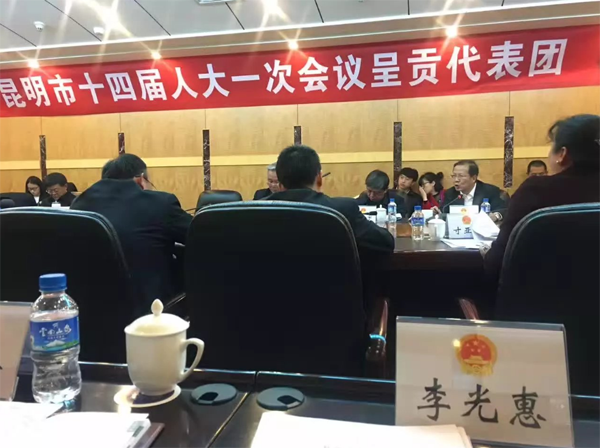 李光惠老师列席昆明市十四届人大一次会议呈贡代表团的分组审议